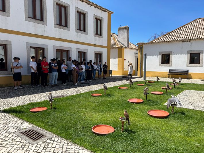 Visita de Estudo | Falcoaria Real de Salvaterra de Magos e Escola Profissional de Salvaterra de Magos | EPHTL Póvoa de Santa Iria